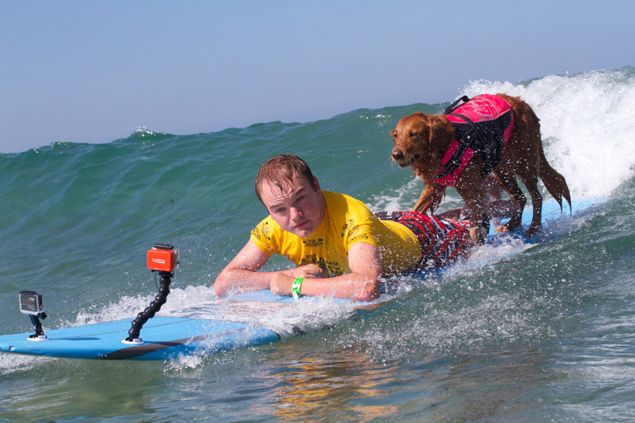 Representative of Team USA, Patrick Ivison, sharing a wave with surf therapy dog, Ricochet. Photo: ISA/Petty