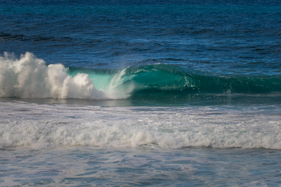 Despite the unorganized swell, there were moments of perfection. Photo: ISA / Sean Evans