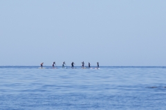 SUP Distance Race - Leaders. PHOTO: ISA / Ben Reed
