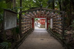 Aoshima Shrine. PHOTO: ISA / Ben Reed